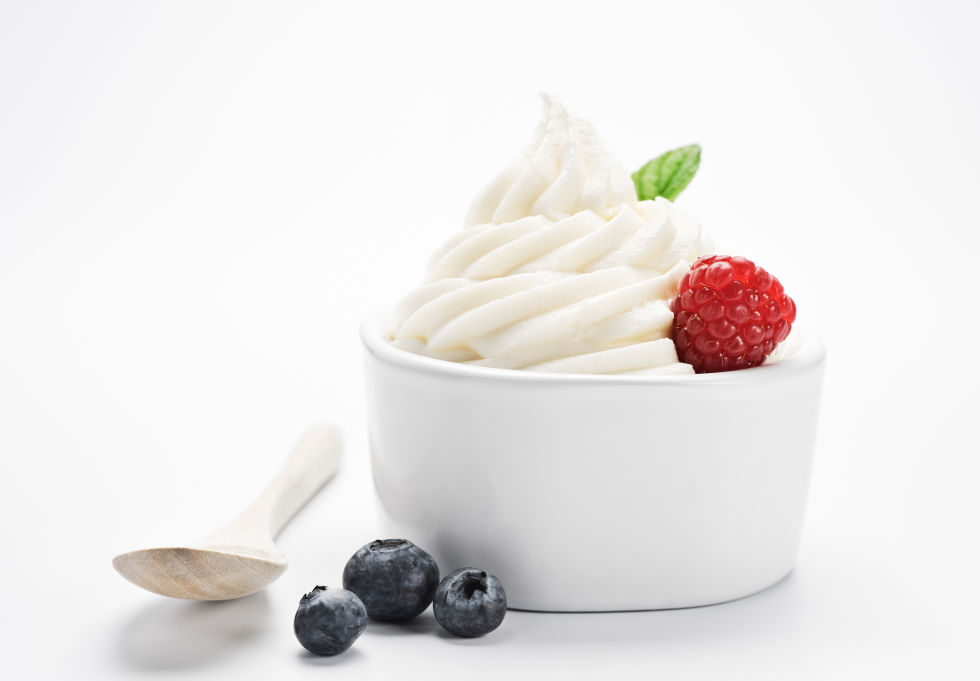 1467729856-2005-frozen-yogurt