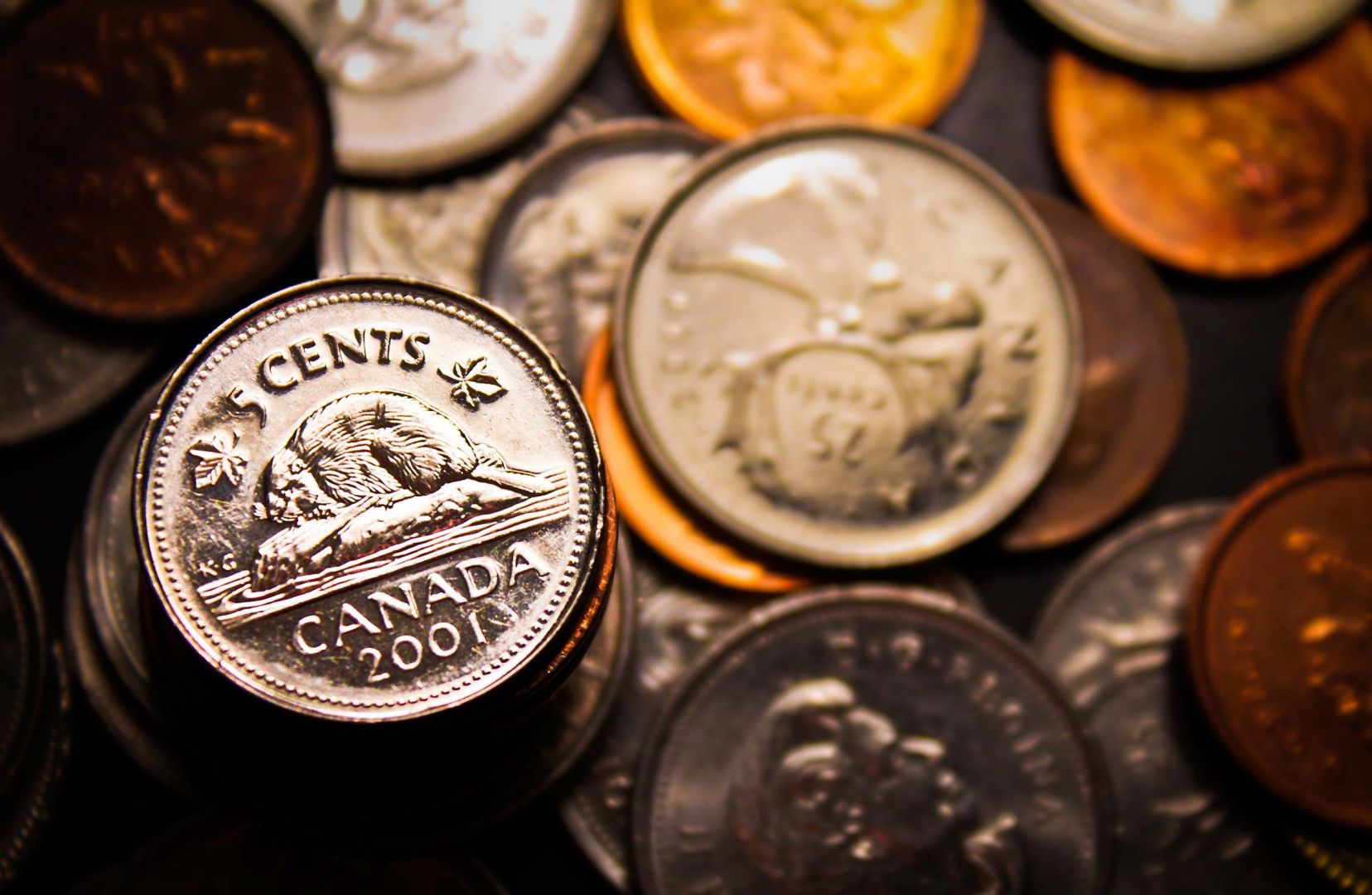 14-13-international-laws-youd-never-know-were-real-canadian-coins